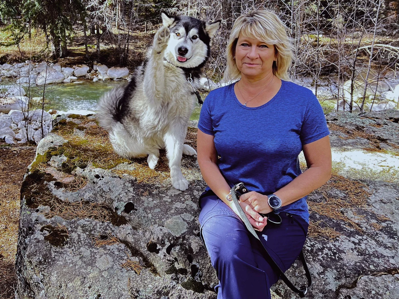 Canine Behavior Academy: Customer business photograph
