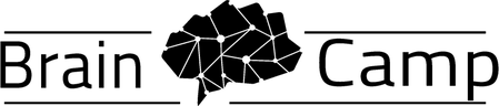 Brain Camp
