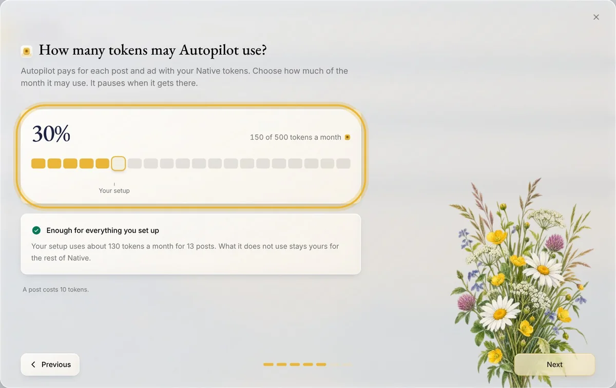 Autopilot's setup: How many tokens may Autopilot use? A share of the month's tokens, 30% or 150 of 500 a month